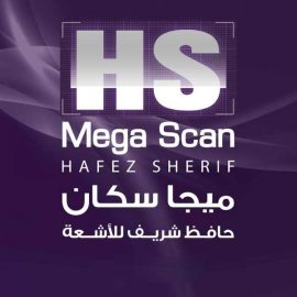 Mega Scan 